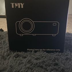 TMY Projecter