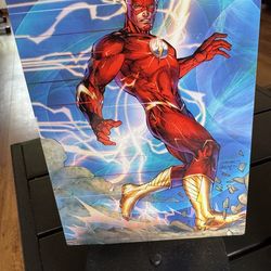 The Flash light up display or Nightlight.