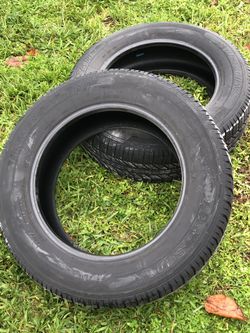 225/65R17 Ironman Tire
