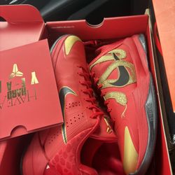 Kobe year of the mamba