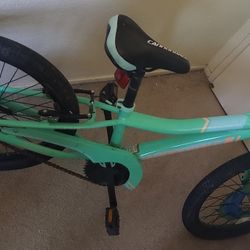 Cannondale Bicycle/Bike
