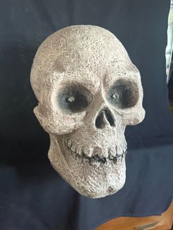 Large Halloween Skull Prop with Light-Up Eyes