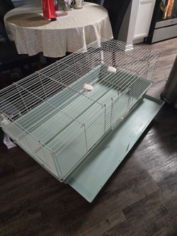 BIG Cage guinea pig $80 OBO
