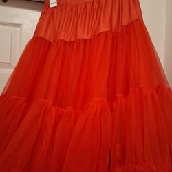 Petticoat New.  Size L-2X Only $20