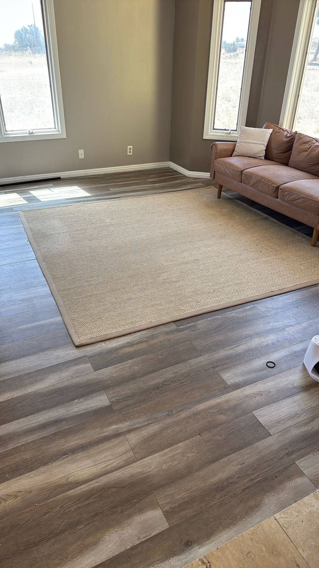 Rug