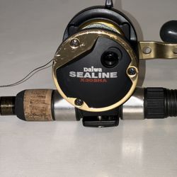 FISHING  ROD / REEL 