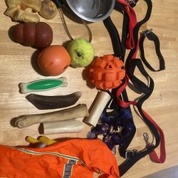 Large Dog Toys Bones Leashes College Brush