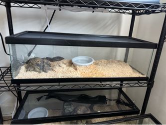 15 Gallon Reptile Enclosure 🦎