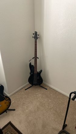 Two Bass,One Hollow Body And Two Amps