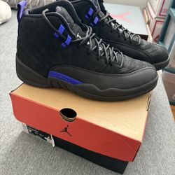 Jordan 12 Retro Dark Concord 9.5
