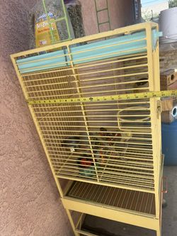 Bird Cage