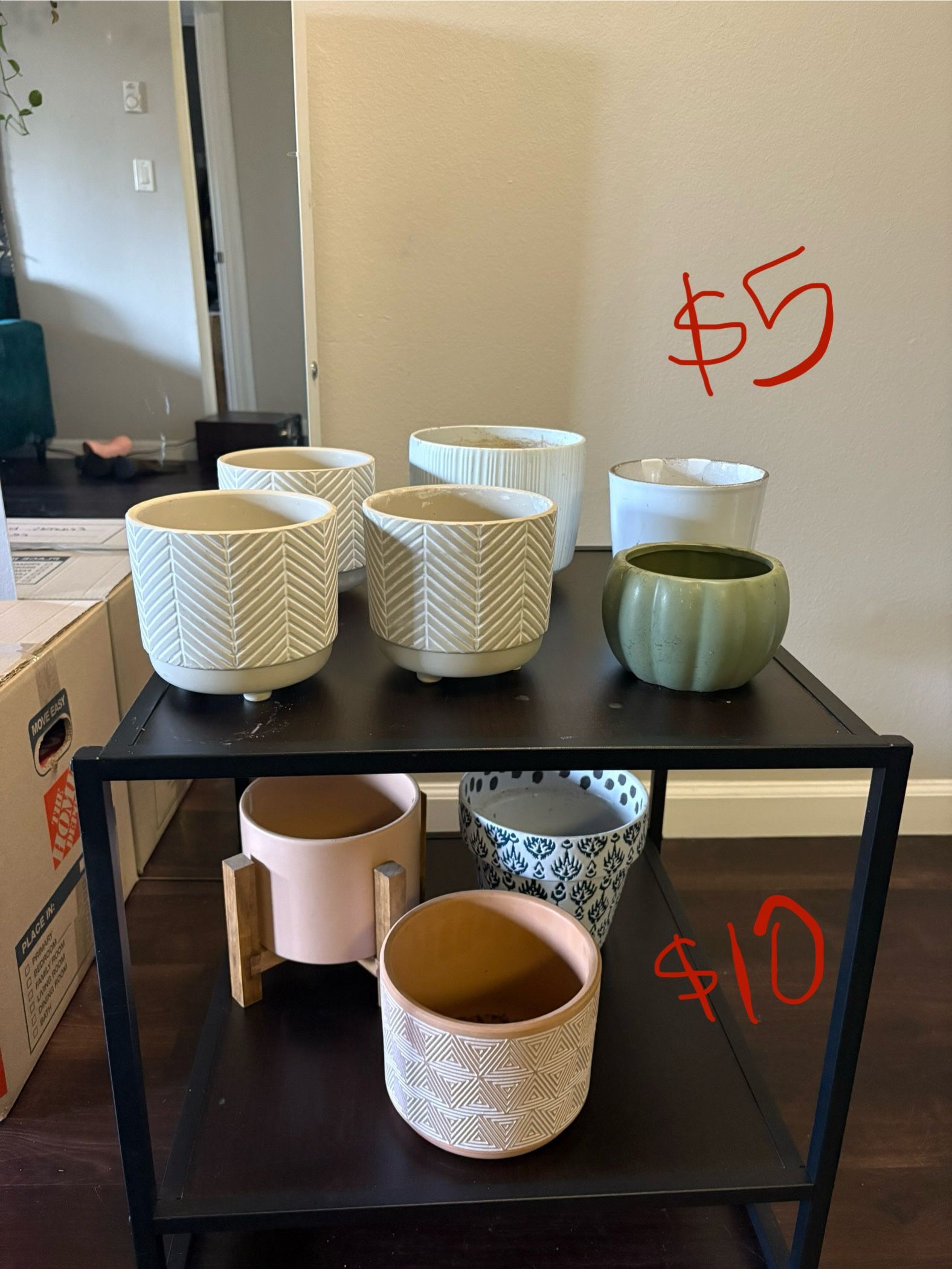 Plant Pots