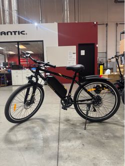 Electric bicycle
