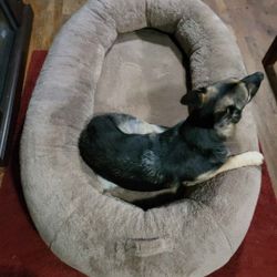 XXL Very Large Dog Bed Easily Big Enough for 2 Large Dogs