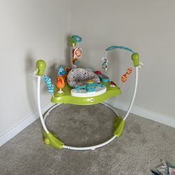 Fisher Price Baby Bouncer