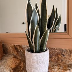 Small Potted Fake Plant