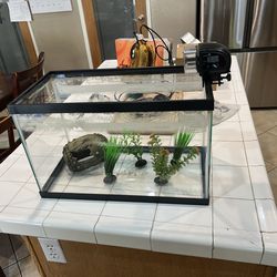 Fish Tank And Accessories