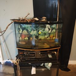 60 Fish Tank Full Kit