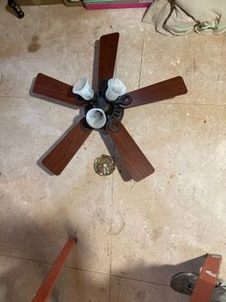Hunter Paddle Fan
