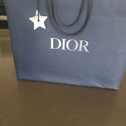 Dior Saddle Bag