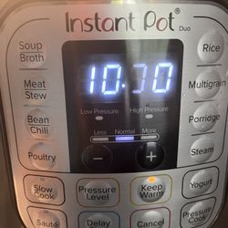 Insta Pot 8 Quart (large)