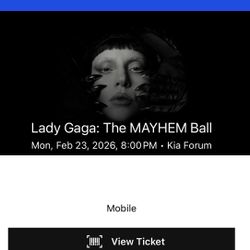 Lady Gaga / The Mayhem Ball Concert