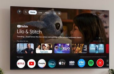 TCL 55 inch TV- Moving out Sale