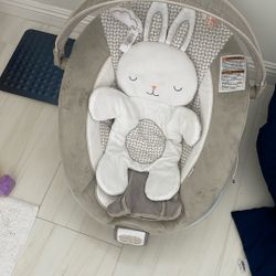 Ingenuity baby seat