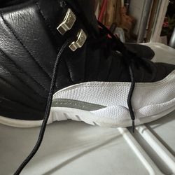 Jordan retro 12 playoff.