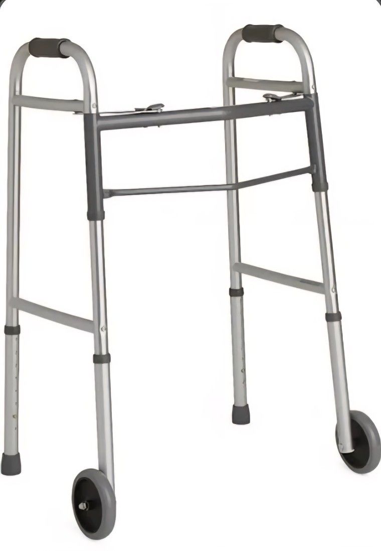 Guardian Walker