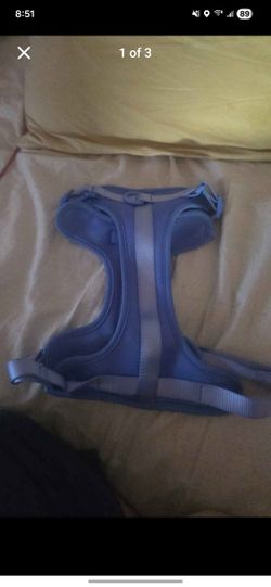 Wild one Dog harness large