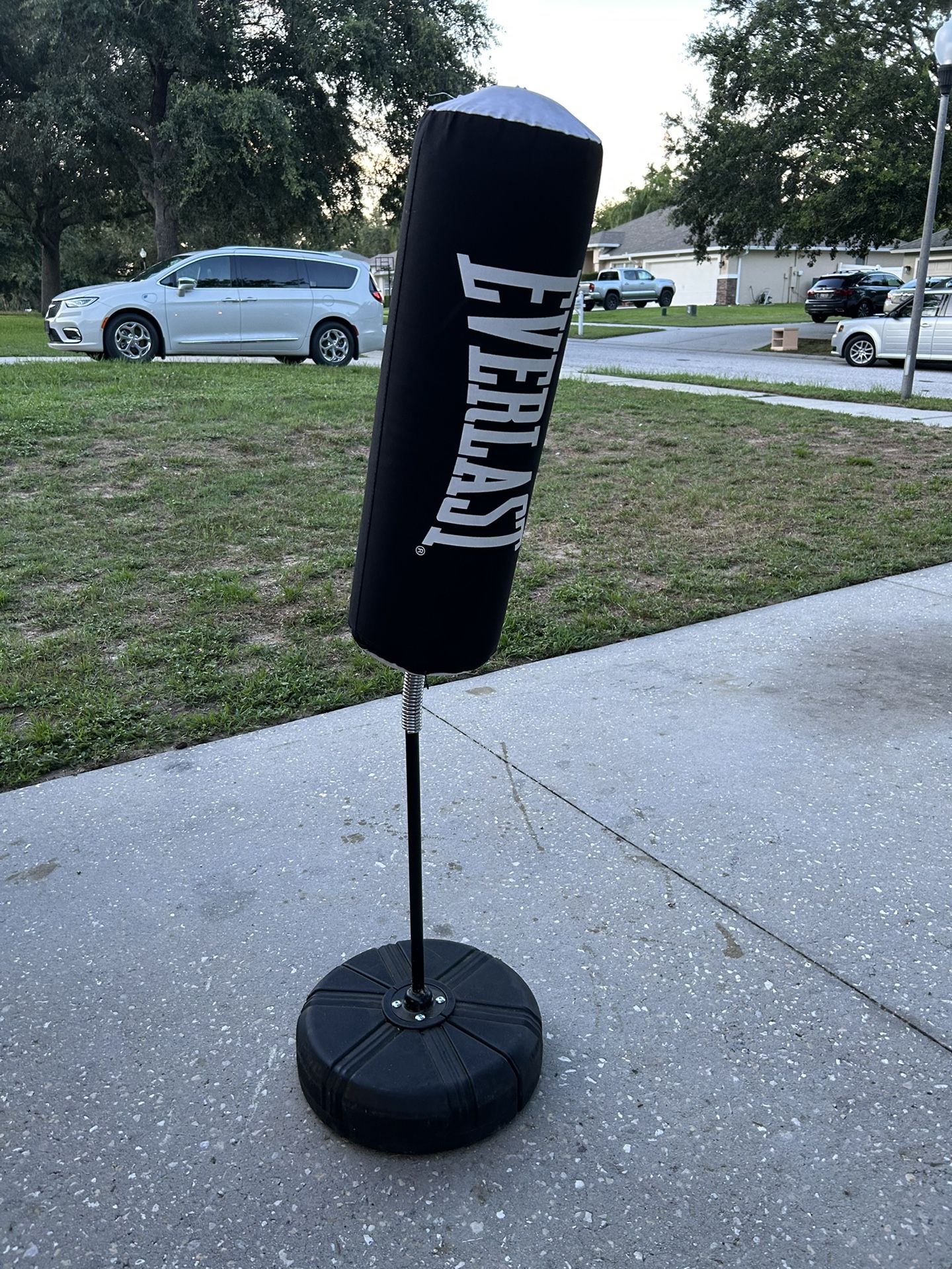 Punching Bag