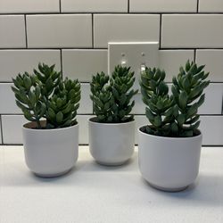 (18) New Faux Target Succulents 