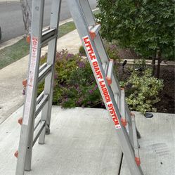 Little Giant Ladder System