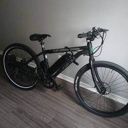 Electric Bike 