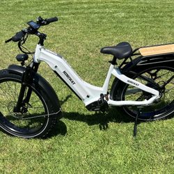 New Himiway Zebra  Step Thru Cruiser Fat Tire E bike