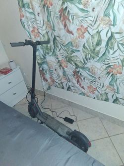 Eleftirc scooter