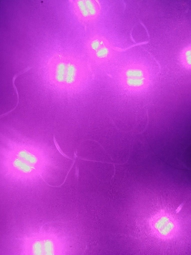 New LED Underbody Lights