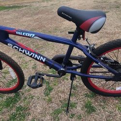 Boys 20" Schwinn Bike Bicycle 