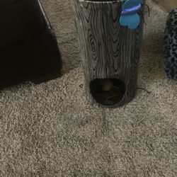 Kitty Toys