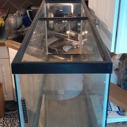 55 Gallon Tank