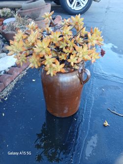 Old Stoneware Pottery with Succulent