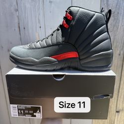Air Jordan 12 Bloodline Men Size 11 
