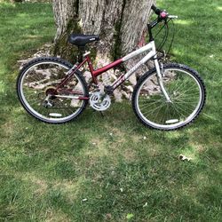 26” Mountain Bike 