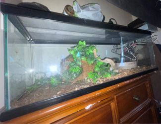 22 LONG gallon tank/bookshelf aquarium with rim