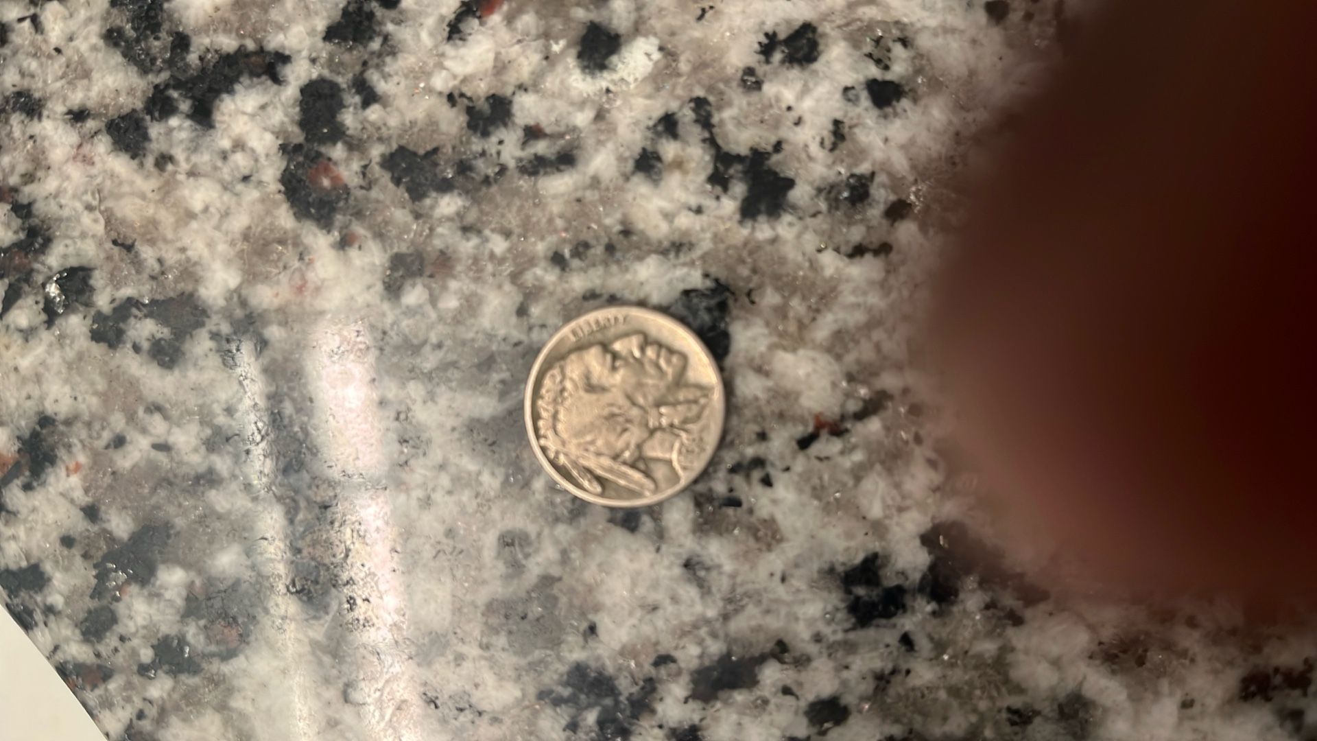 1936 Buffalo Nickel