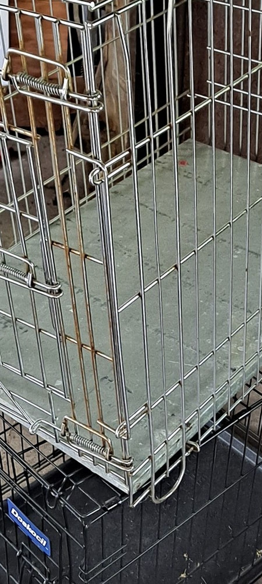 Animals Cage