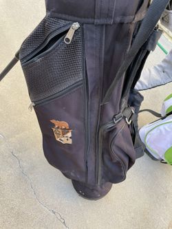 Stand Up Gold Bag With Stands 