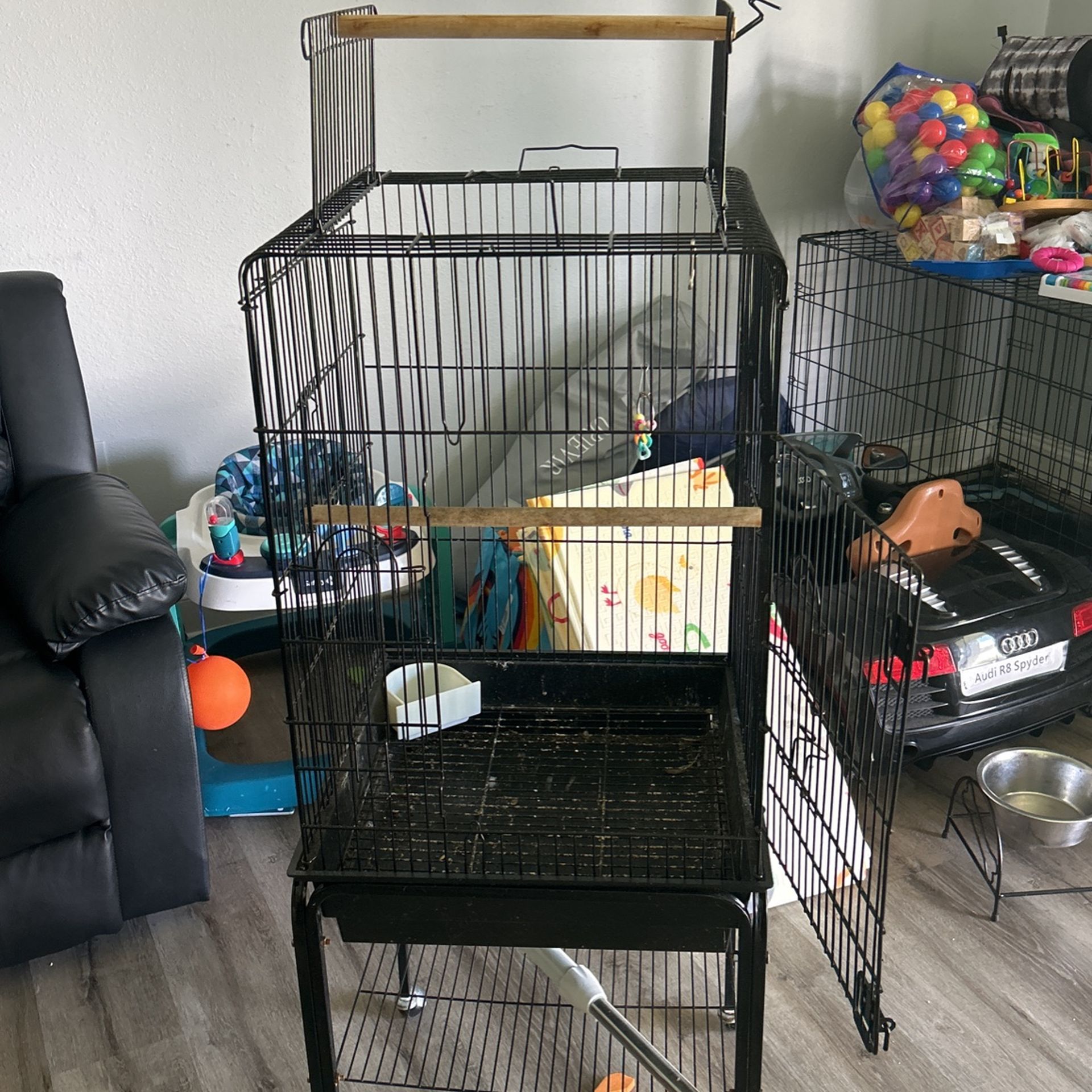 Bird Cage 