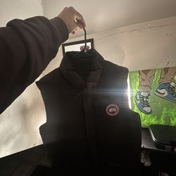 Canada Goose